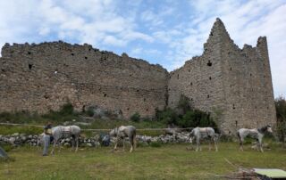 2c0d58d3-36e5-4c65-9562-5f7dc495ecd4