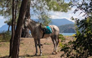 34bd0425-d1c2-4cd7-9e0e-ed5541bb6681