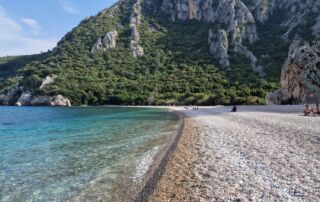 607f4f9a-2f64-4950-952d-58686357bd43