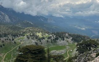 863bf5c8-6f39-4b9d-a2dc-60e8a15b897a