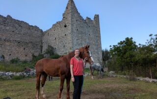 93907979-a67f-46b2-86b3-d6b3733d6200