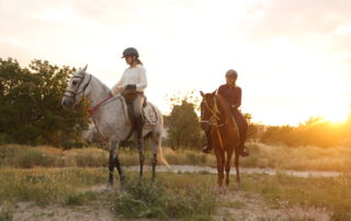 ALII0066 Cappadocia Horse Safari