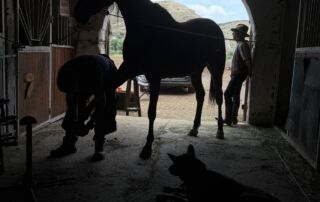 IMG_0248 Cappadocia Rider