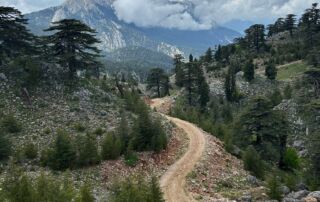 ff2a1d9f-eb02-454c-89b9-6a27dc3258b8