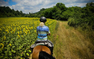 3afae3d1-b5c8-427f-8fce-2e91ac2f2c50