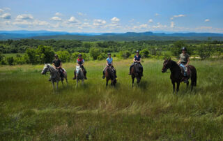 b0957a40-a7c6-43f5-8c84-05221cca3ab8