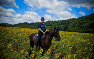 b72e2678-fe40-4ba4-9a5c-5ef9a77dd8ba