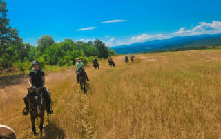 c145b7f5-578f-4574-9814-9cf67567c0fa