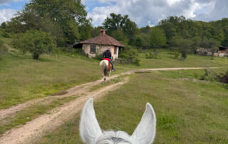 horse-riding-bulgaria-13