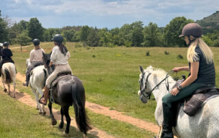 horse-riding-bulgaria-15