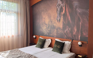 horse-riding-bulgaria-6