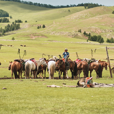 Horseback Riding Mongolia