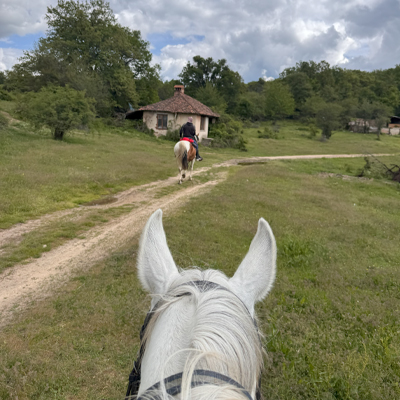 Horseback Riding Bulgaria