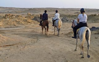 11-PXL_20221103_142451617~2