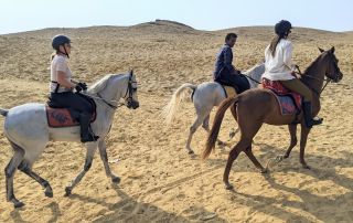 15-PXL_20221104_075316218~2