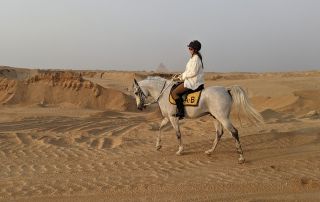 4-PXL_20221103_141727757