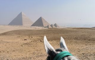 63-IMG_20231026_102353