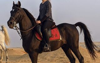 8-PXL_20221103_141918047~2