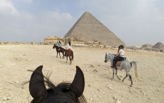 87-PXL_20221104_082019627