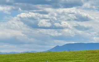 Horseback-Riding-North-Macedonia-10