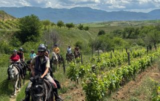 Horseback-Riding-North-Macedonia-12