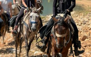 Horseback-Riding-North-Macedonia-21