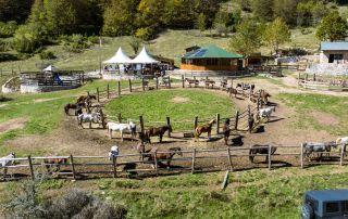 Horseback-Riding-North-Macedonia-3