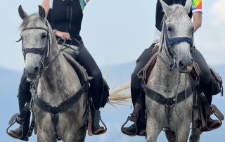 Horseback Riding North Macedonia-7