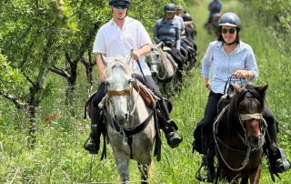 Horseback-Riding-North-Macedonia-8