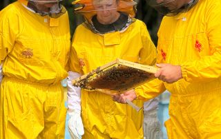 Horseback-Riding-North-Macedonia-9