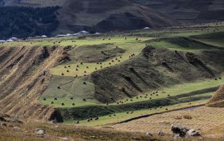 tusheti 1